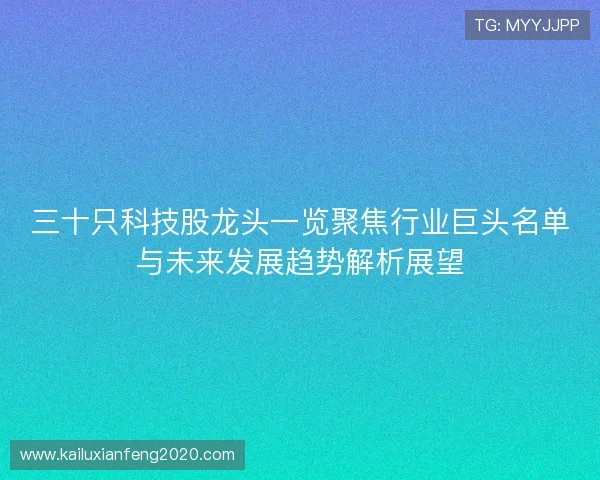 三十只科技股龙头一览聚焦行业巨头名单与未来发展趋势解析展望